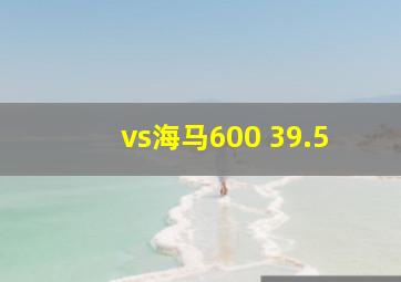 vs海马600 39.5